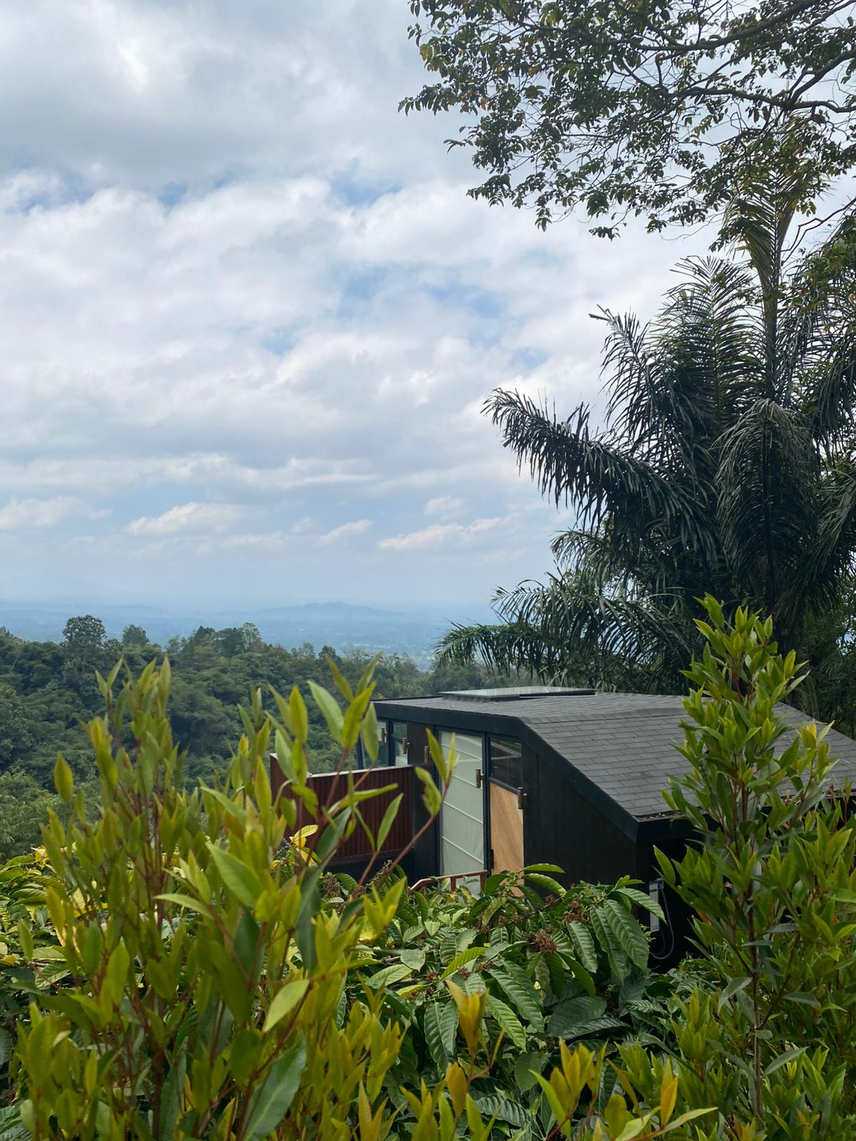 Luxury home with pool